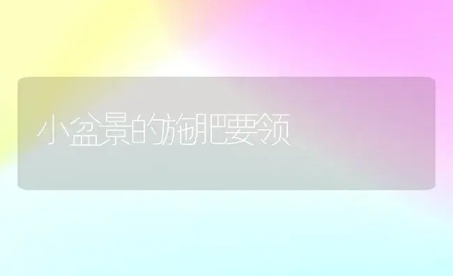 小盆景的施肥要领 | 家庭养花