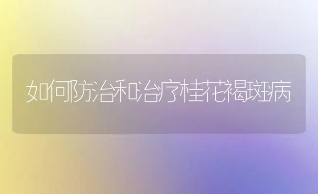 如何防治和治疗桂花褐斑病 | 家庭养花