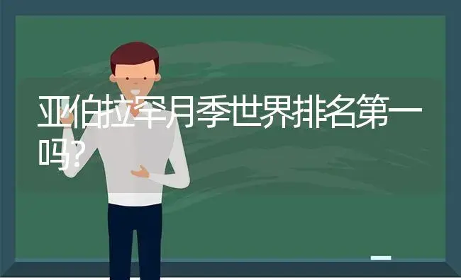 亚伯拉罕月季世界排名第一吗？ | 绿植常识