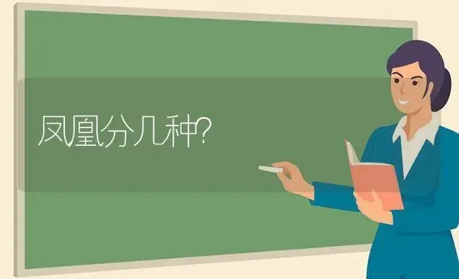 凤凰分几种？ | 多肉养殖