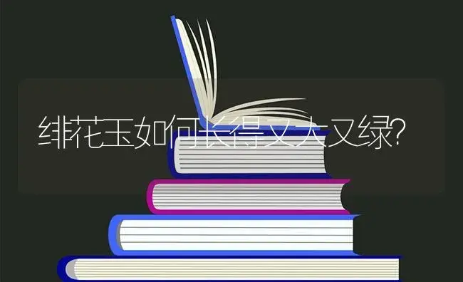 绯花玉如何长得又大又绿？ | 多肉养殖