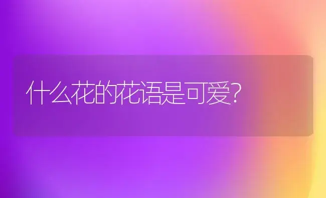 什么花的花语是可爱？ | 绿植常识