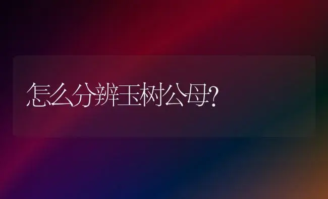 怎么分辨玉树公母？ | 多肉养殖