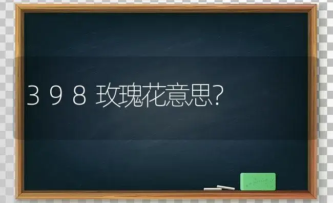 398玫瑰花意思？ | 绿植常识