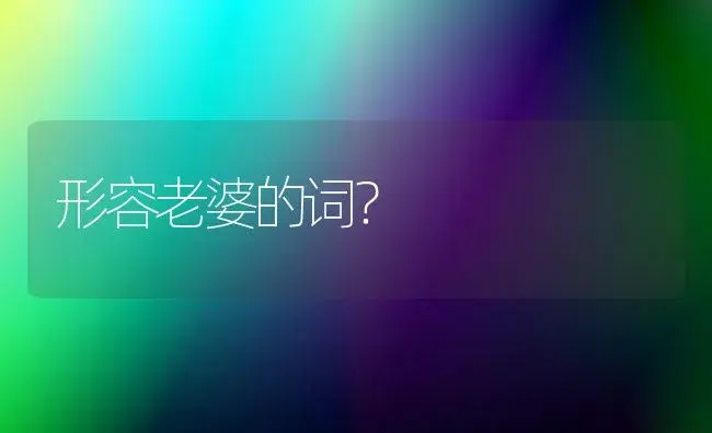 形容老婆的词？ | 绿植常识