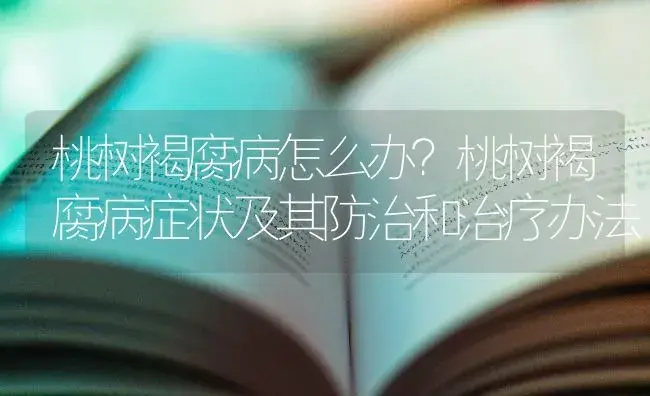 桃树褐腐病怎么办？桃树褐腐病症状及其防治和治疗办法 | 果木种植