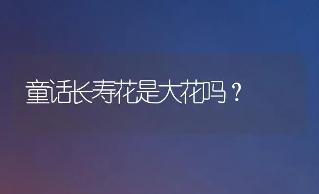 童话长寿花是大花吗？ | 多肉养殖