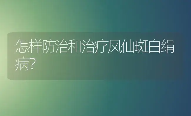 怎样防治和治疗凤仙斑白绢病？ | 家庭养花