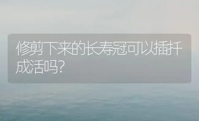 修剪下来的长寿冠可以插扦成活吗？ | 多肉养殖