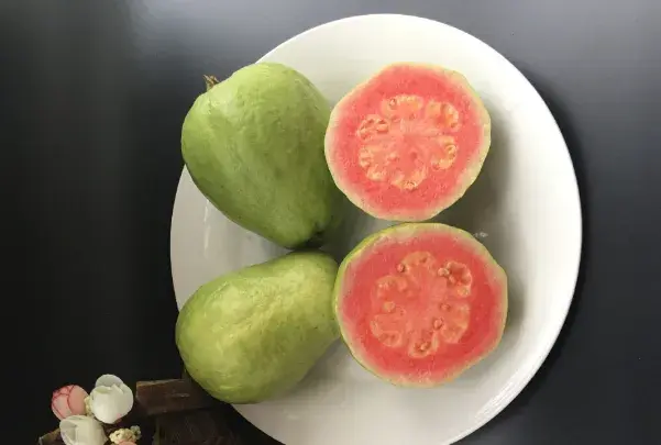 桃金娘科珍珠石榴怎么吃的？功效作用是什么？怎样栽培？