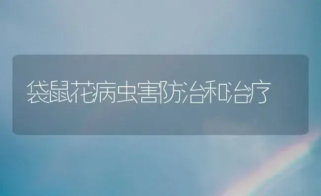 袋鼠花病虫害防治和治疗 | 家庭养花