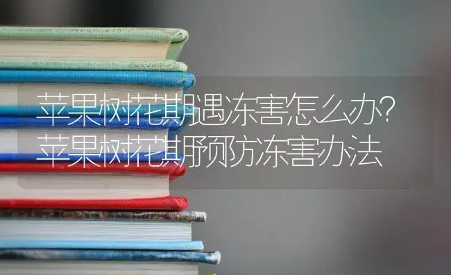 苹果树花期遇冻害怎么办？苹果树花期预防冻害办法 | 果木种植