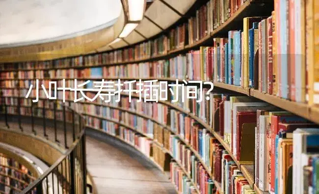 小叶长寿扦插时间？ | 多肉养殖