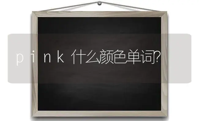 pink什么颜色单词？ | 绿植常识