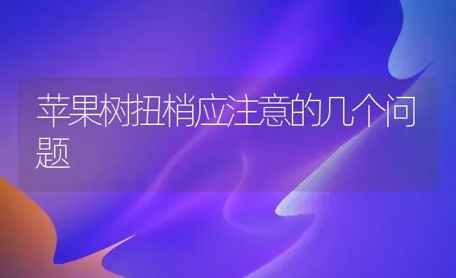 苹果树扭梢应注意的几个问题 | 果木种植