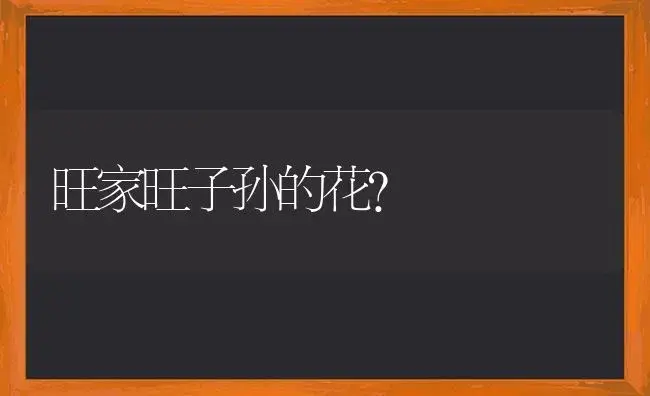 旺家旺子孙的花？ | 多肉养殖