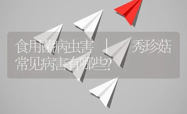 秀珍菇常见病害有哪些？ | 菌菇种植