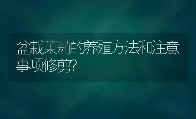 盆栽茉莉的养殖方法和注意事项修剪？ | 绿植常识