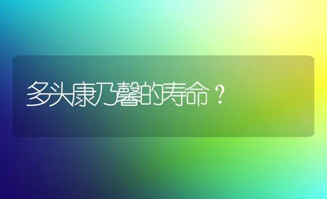 多头康乃馨的寿命？ | 绿植常识