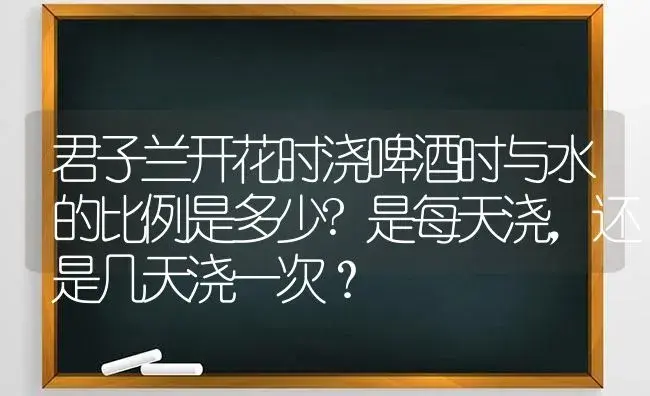 君子兰开花时浇啤酒时与水的比例是多少?是每天浇，还是几天浇一次？ | 绿植常识