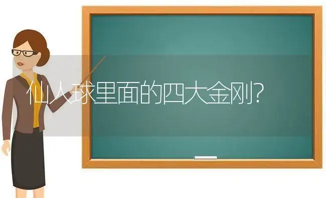 仙人球里面的四大金刚？ | 多肉养殖