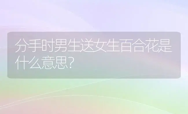 分手时男生送女生百合花是什么意思？ | 绿植常识