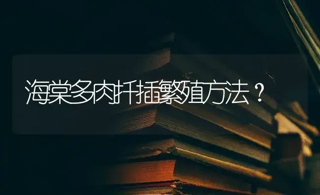 海棠多肉扦插繁殖方法？ | 绿植常识