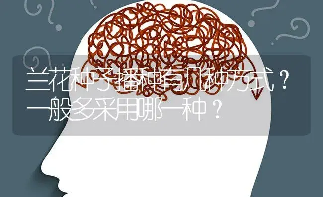 兰花种子播种有几种方式？一般多采用哪一种？ | 特种种植