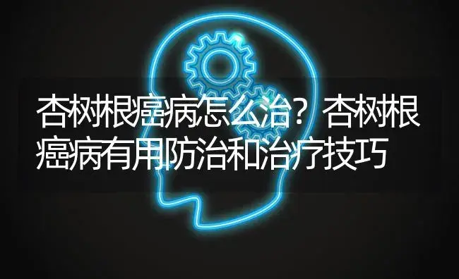 杏树根癌病怎么治？杏树根癌病有用防治和治疗技巧 | 果木种植