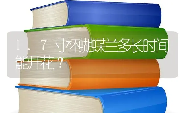 1.7寸杯蝴蝶兰多长时间能开花？ | 绿植常识