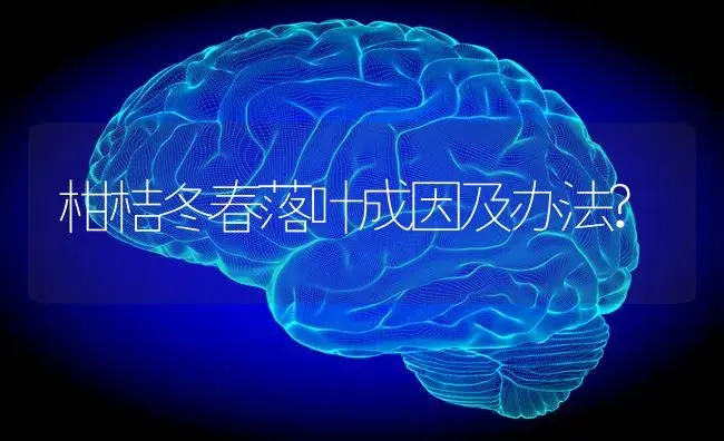 柑桔冬春落叶成因及办法? | 特种种植