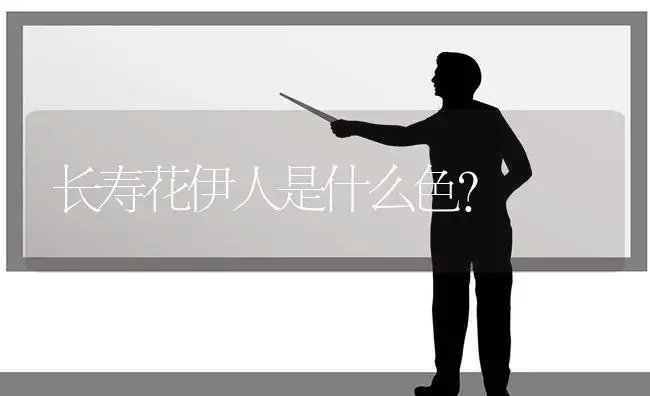 长寿花伊人是什么色？ | 多肉养殖