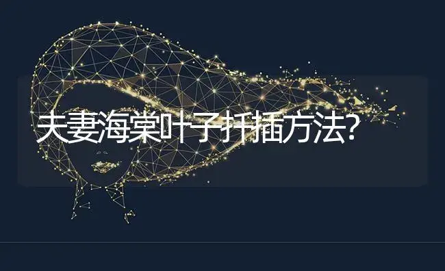 夫妻海棠叶子扦插方法？ | 绿植常识