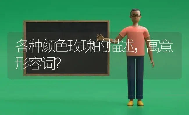 各种颜色玫瑰的描述，寓意形容词？ | 绿植常识