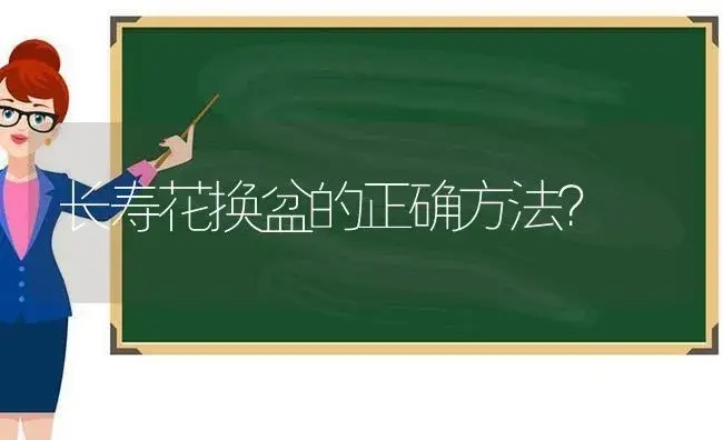 长寿花换盆的正确方法？ | 多肉养殖