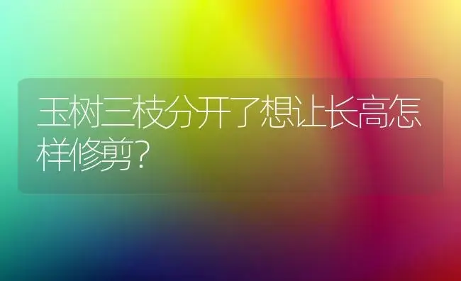 玉树三枝分开了想让长高怎样修剪？ | 多肉养殖