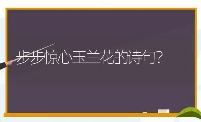 步步惊心玉兰花的诗句？ | 绿植常识