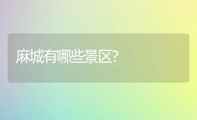 麻城有哪些景区？ | 绿植常识