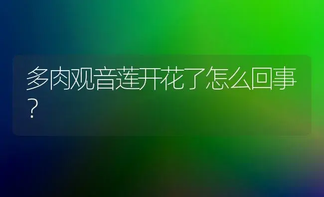 多肉观音莲开花了怎么回事？ | 多肉养殖