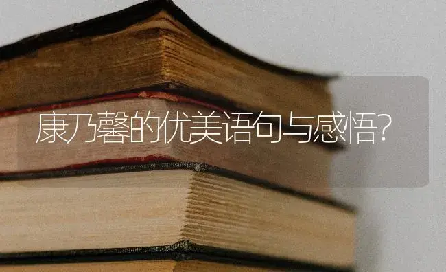 康乃馨的优美语句与感悟？ | 绿植常识