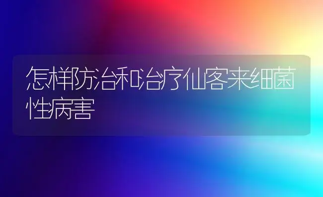 怎样防治和治疗仙客来细菌性病害 | 家庭养花