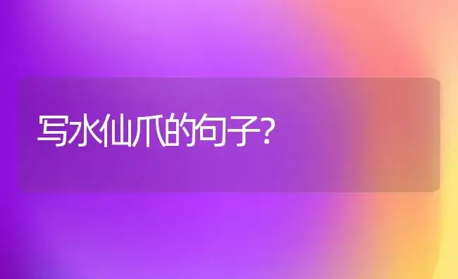 水绣球能在室内养吗？ | 绿植常识