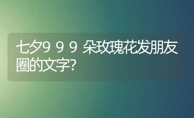 七夕999朵玫瑰花发朋友圈的文字？ | 绿植常识