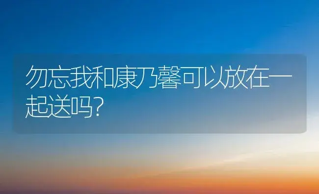 勿忘我和康乃馨可以放在一起送吗？ | 绿植常识