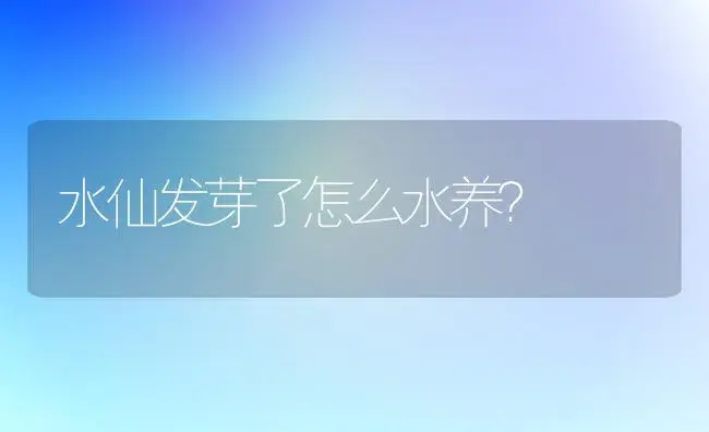 水仙发芽了怎么水养？ | 绿植常识