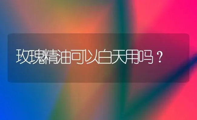 玫瑰精油可以白天用吗？ | 绿植常识