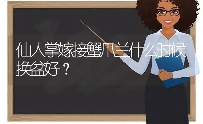 仙人掌嫁接蟹爪兰什么时候换盆好？ | 多肉养殖