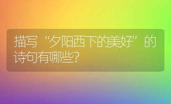 描写“夕阳西下的美好”的诗句有哪些？ | 绿植常识