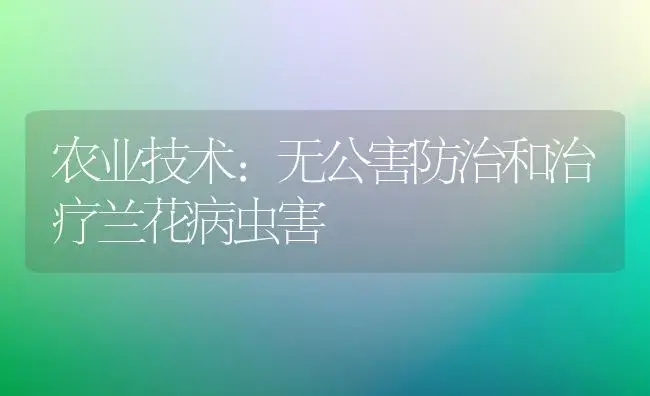 农业技术:无公害防治和治疗兰花病虫害 | 家庭养花