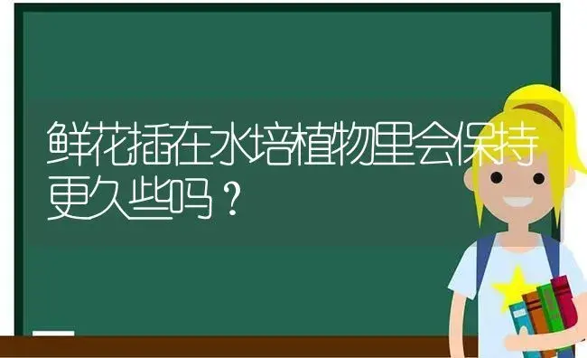 鲜花插在水培植物里会保持更久些吗？ | 绿植常识